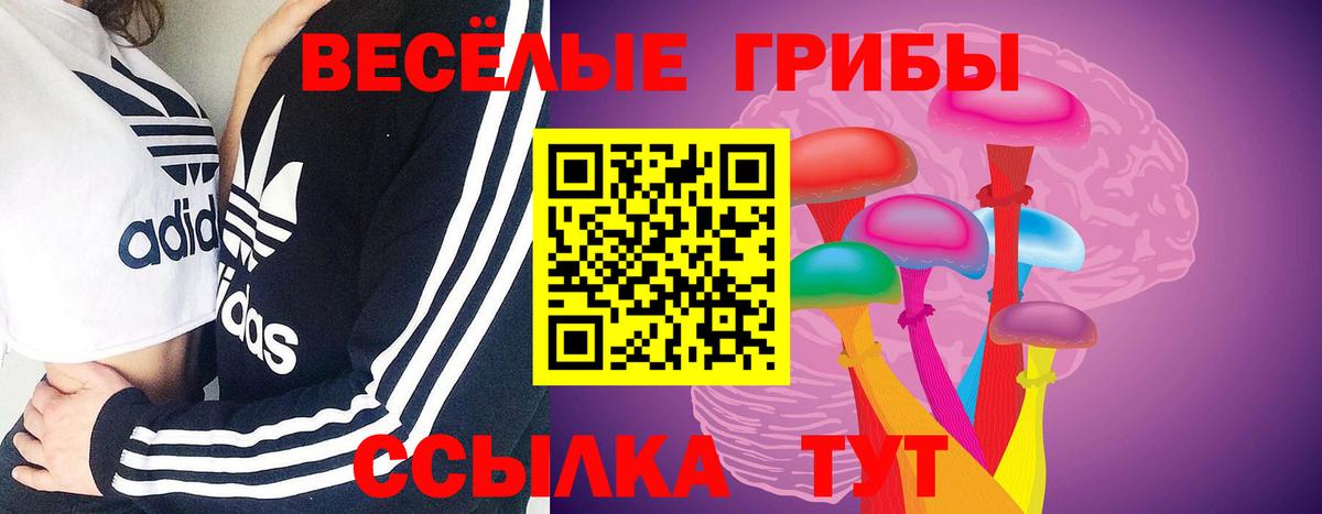 Ирбит  Псилоцибиновые грибы мицелий  Вход с VPN 